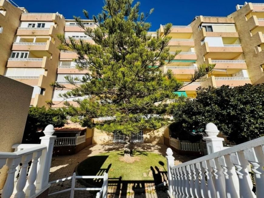 Španělsko Penthouse La Mata Alicante (Costa Blanca)