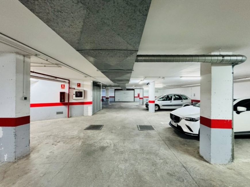 Španělsko Apartmán / byt Torrevieja Alicante (Costa Blanca)