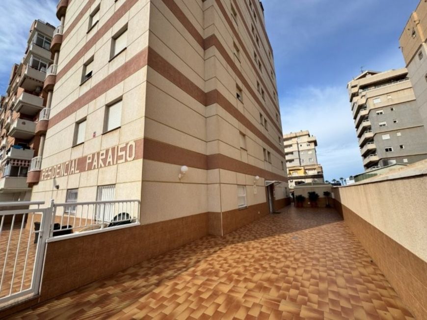 Španělsko Apartmán / byt Torrevieja Alicante (Costa Blanca)