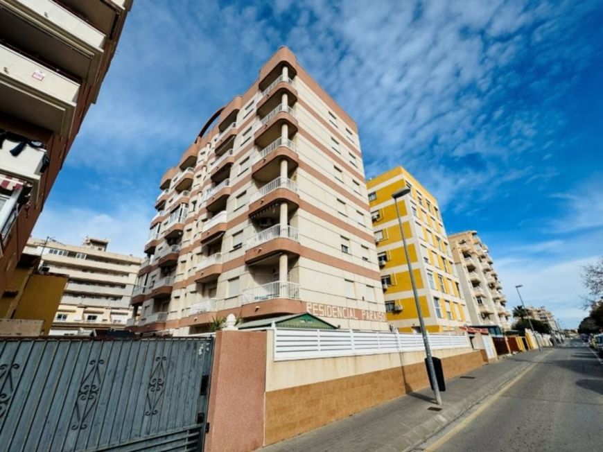Španělsko Apartmán / byt Torrevieja Alicante (Costa Blanca)