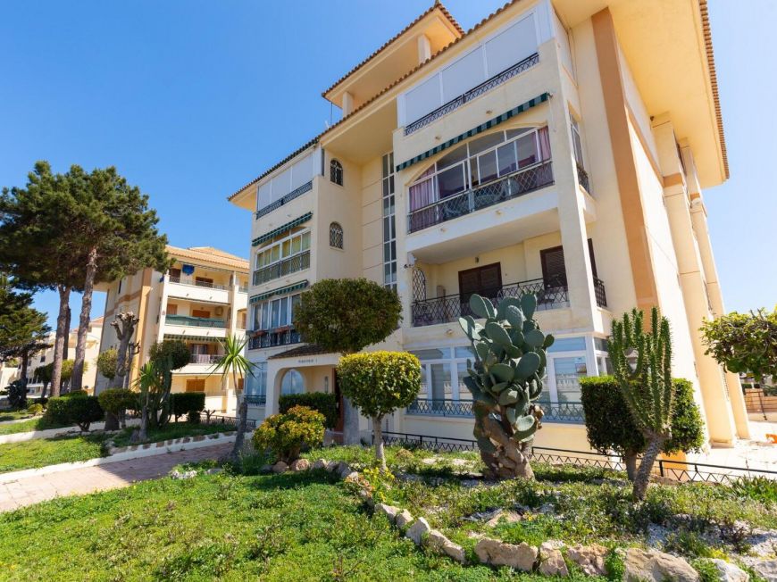 Španělsko Apartmán / byt Torrevieja ALICANTE