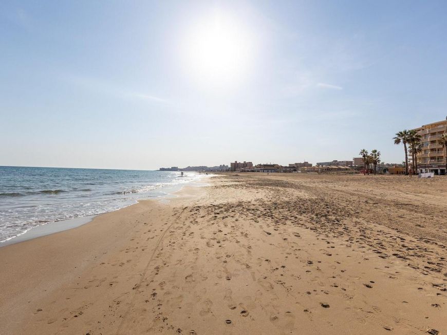 Španělsko Apartmán / byt Torrevieja ALICANTE