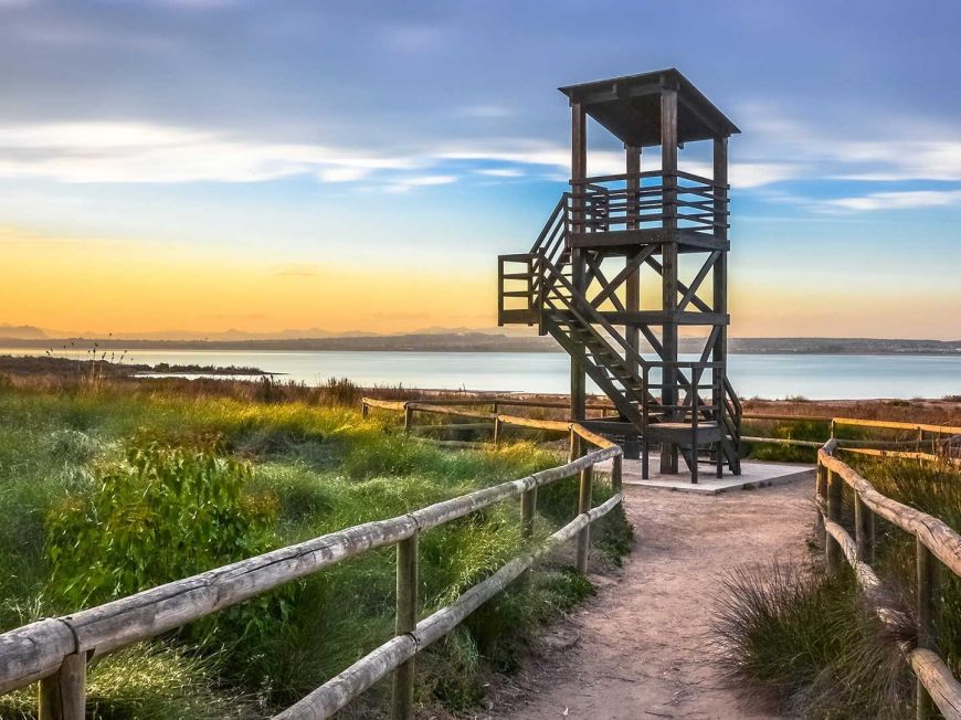 Španělsko Apartmán / byt Torrevieja ALICANTE