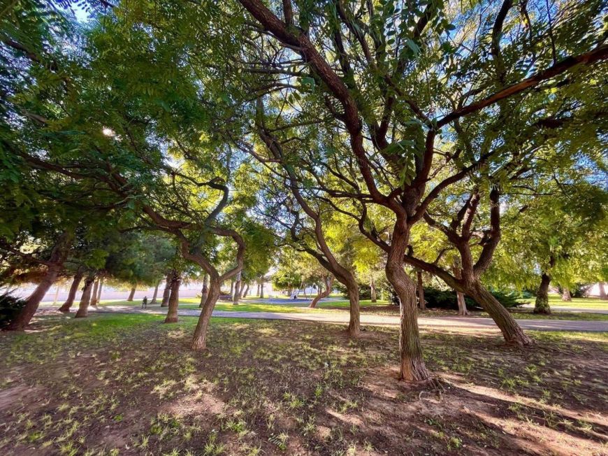 Španělsko Townhouse in Residencial Calas Blancas – 6 Bedrooms - Only 500m from Playa del Cura 🏖️