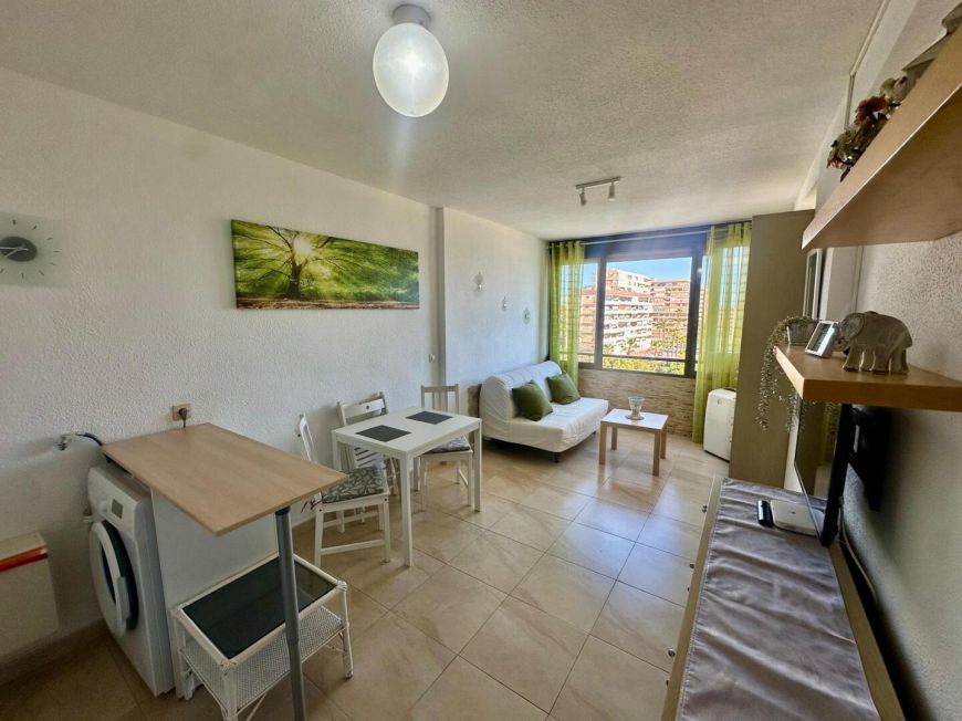 Španělsko Apartmán / byt Torrevieja ALICANTE