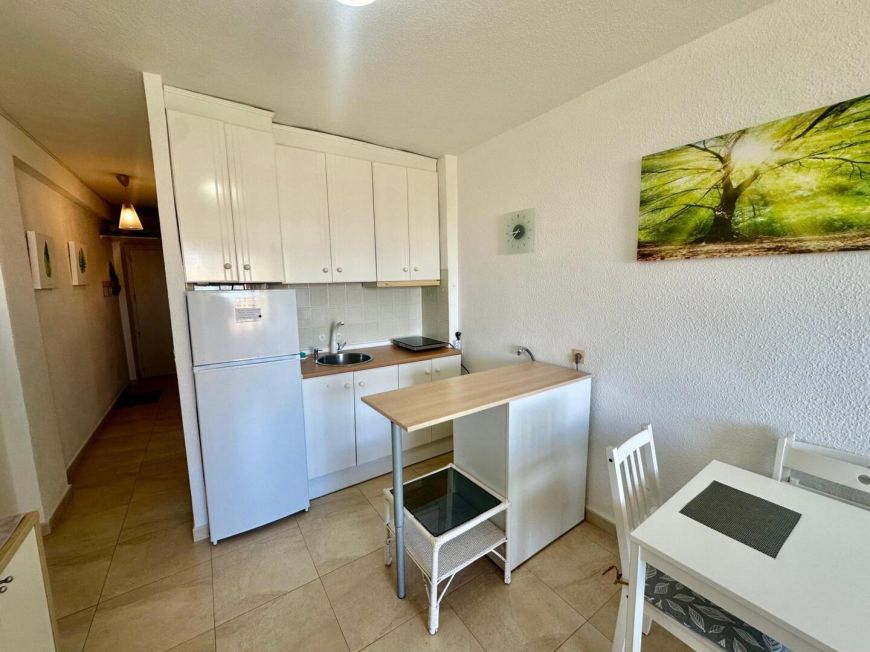 Španělsko Apartmán / byt Torrevieja ALICANTE