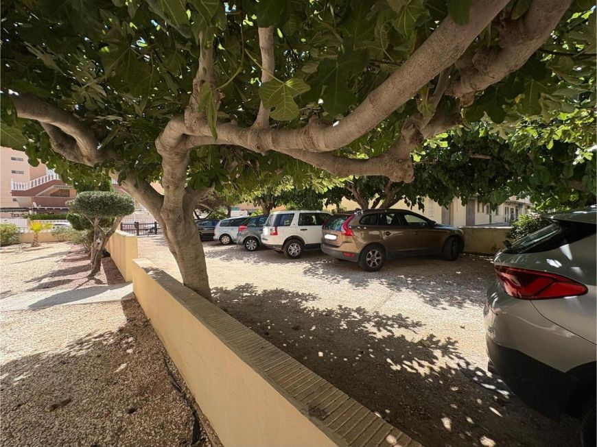 Španělsko Apartamento Torrevieja Alicante