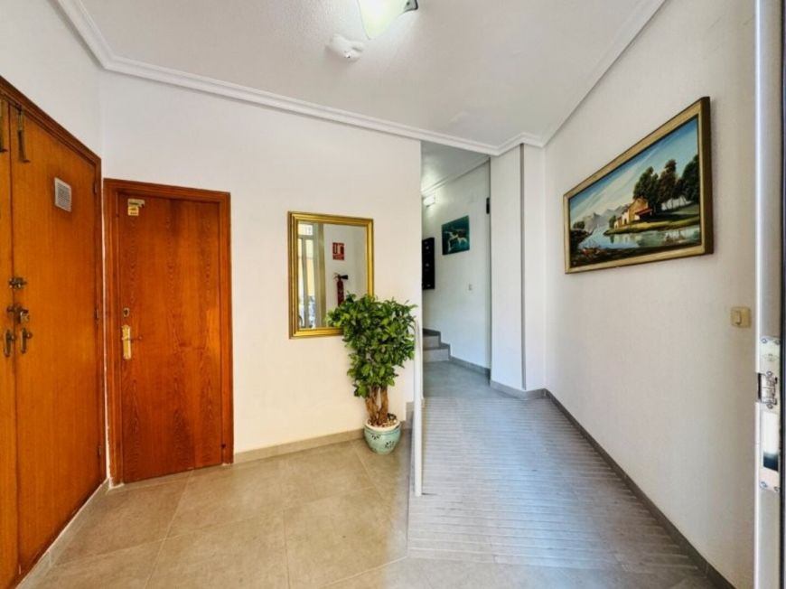 Španělsko Apartmán / byt La Mata Alicante (Costa Blanca)