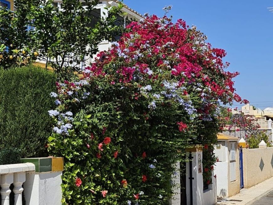 Spain Bungalow Orihuela Costa Alicante