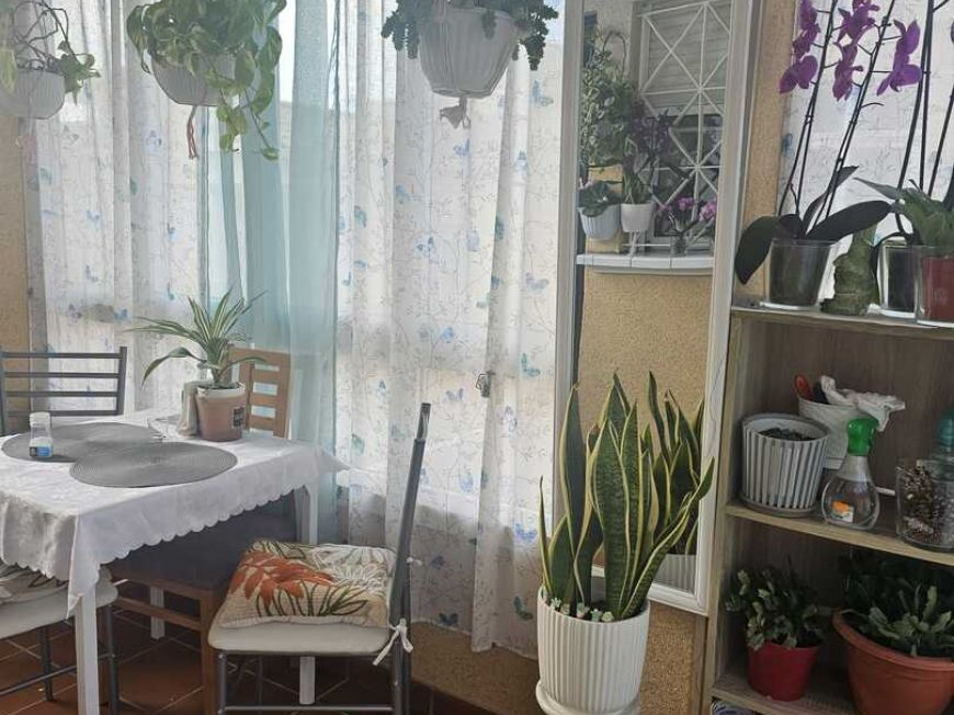 Spain Apartment Torrevieja Alicante