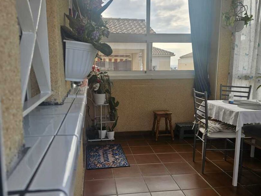 Spain Apartment Torrevieja Alicante