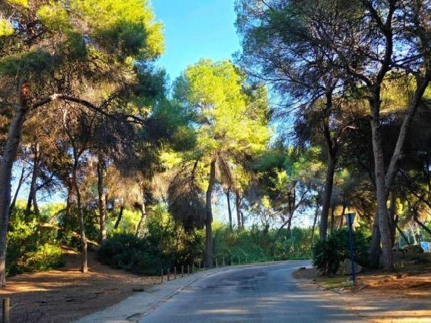Španělsko Vila Dehesa de campoamor ALICANTE