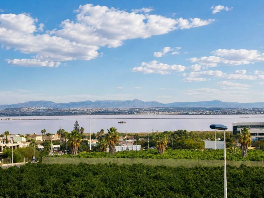 Испания Semi detached villa Torrevieja Alicante
