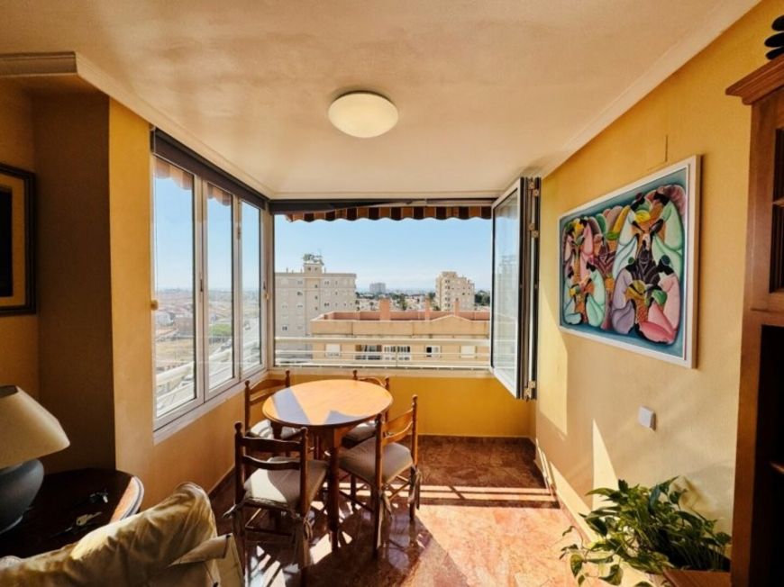 Španělsko Apartmán / byt Torrevieja Alicante (Costa Blanca)