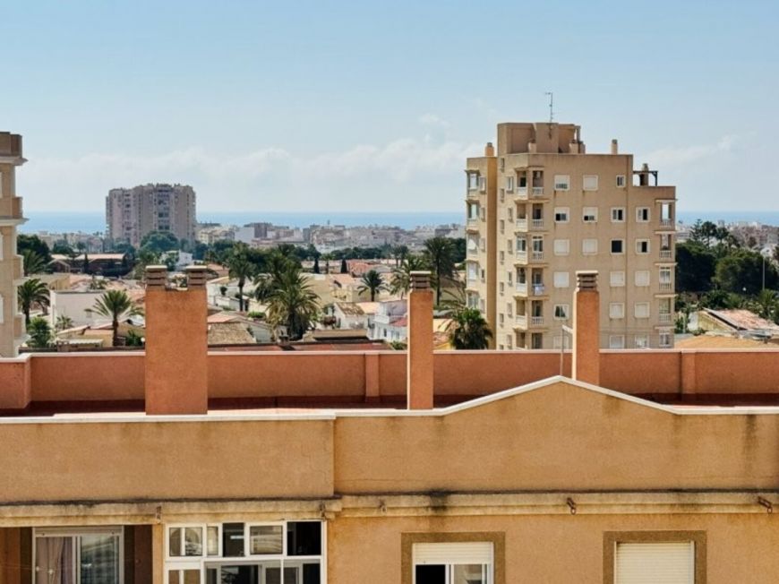 Španělsko Apartmán / byt Torrevieja Alicante (Costa Blanca)