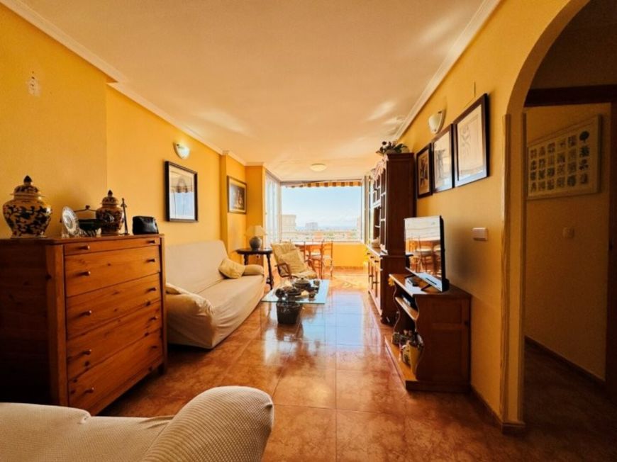 Španělsko Apartmán / byt Torrevieja Alicante (Costa Blanca)