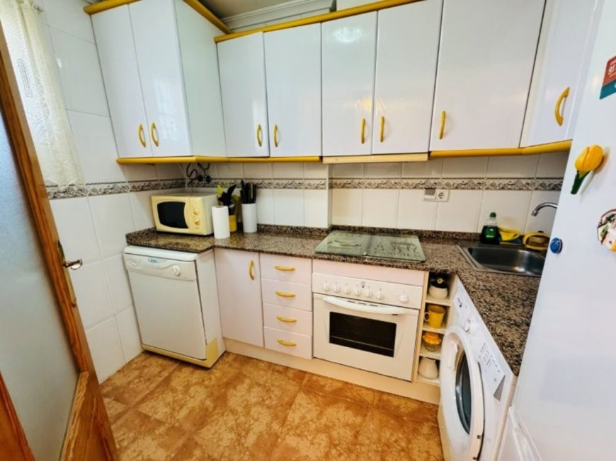 Španělsko Apartmán / byt Torrevieja Alicante (Costa Blanca)