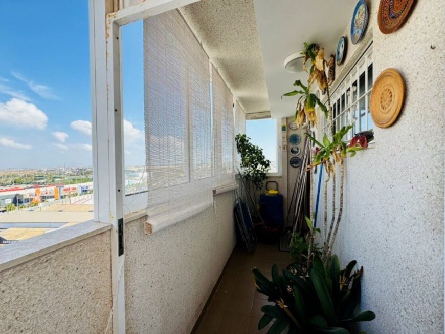 Španělsko Apartmán / byt Torrevieja Alicante (Costa Blanca)