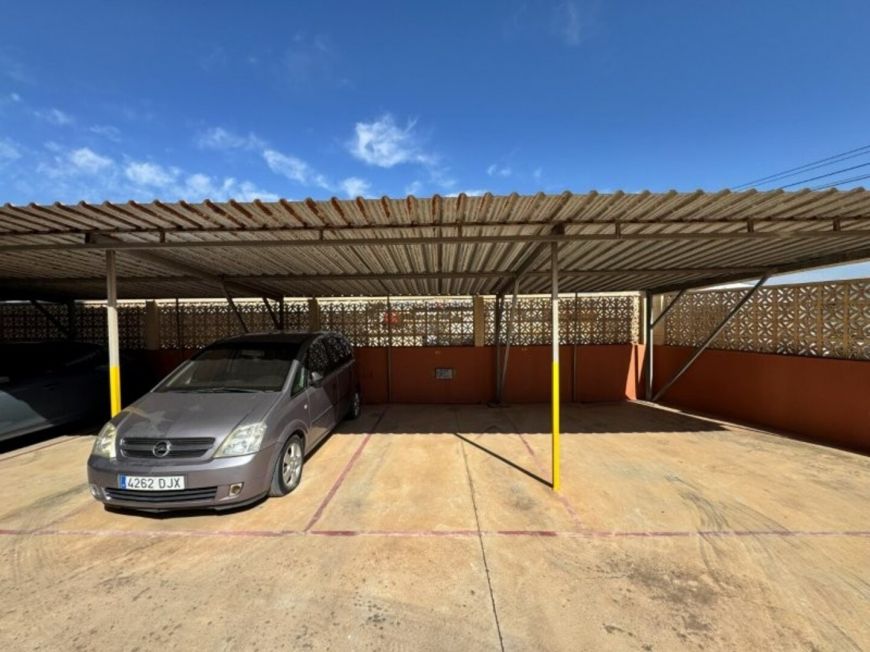 Španělsko Apartmán / byt Torrevieja Alicante (Costa Blanca)