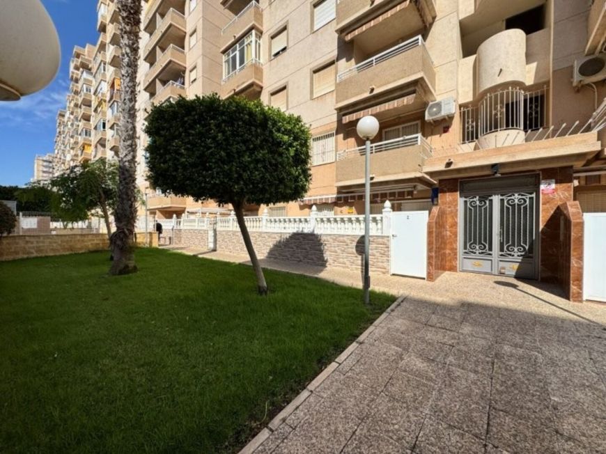 Španělsko Apartmán / byt Torrevieja Alicante (Costa Blanca)