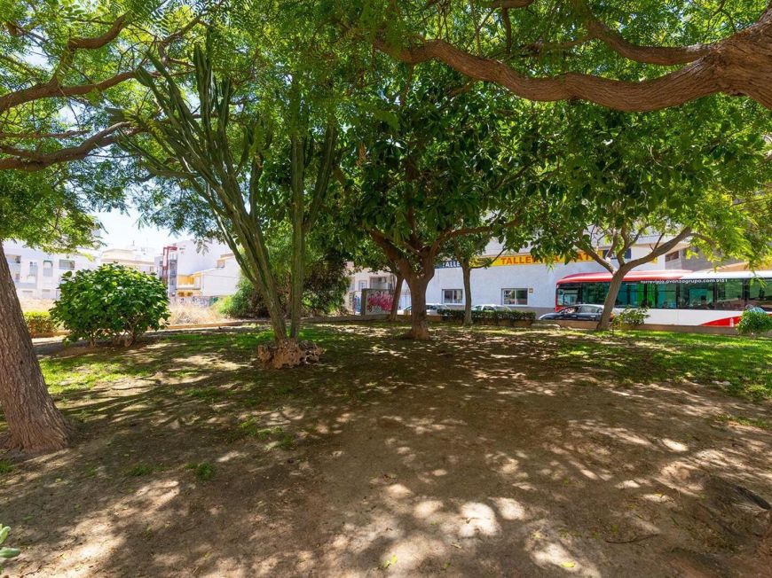 Španělsko APARTAMENTO DE 1 DORMITORIO EN ESQUINA CON VISTAS A LA LAGUNA, LICENCIA TURISITICA Y A 260 METROS DE LA PLAYA DE LA  MATA!