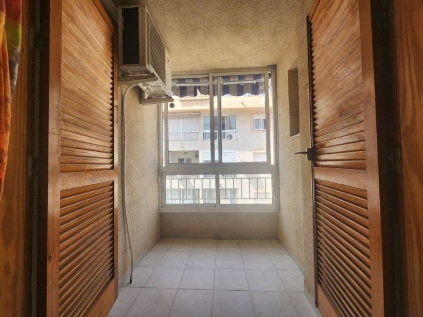 Španělsko Apartmán / byt Torrevieja Alicante (Costa Blanca)