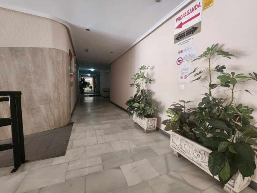 Španělsko Apartmán / byt Torrevieja Alicante (Costa Blanca)
