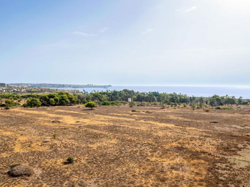 Španělsko Apartmán / byt Torrevieja ALICANTE