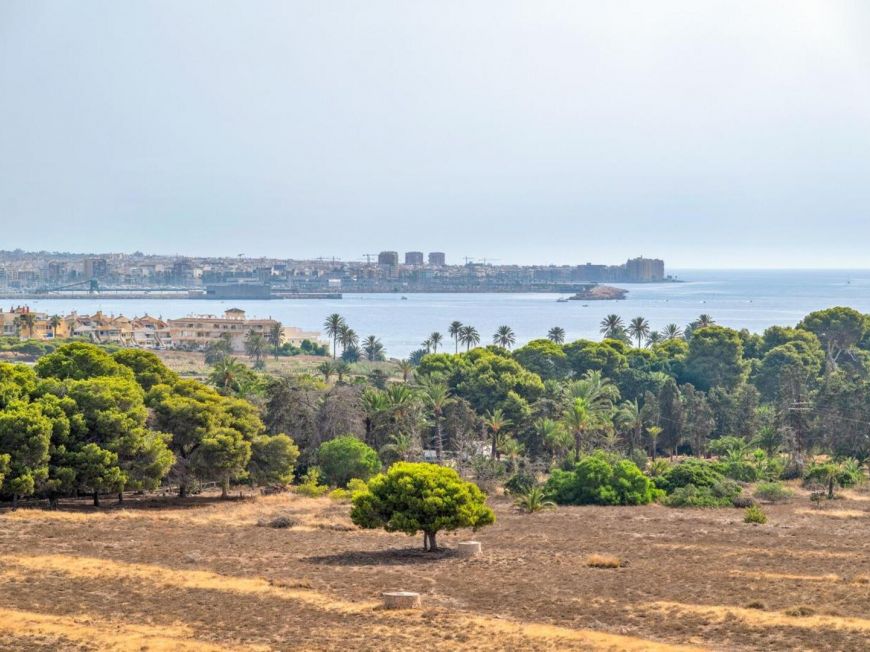 Španělsko Apartmán / byt Torrevieja ALICANTE