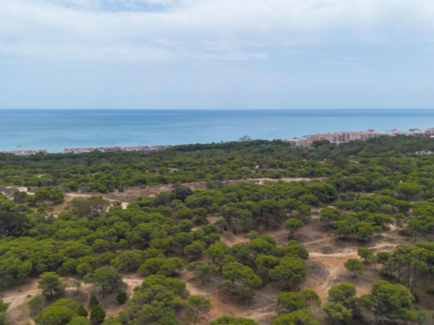 Испания Apartment in Guardamar del Segura, just 800 metres from the beach