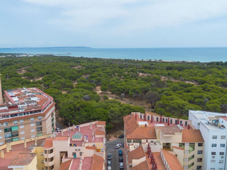 Испания Apartment in Guardamar del Segura, just 800 metres from the beach