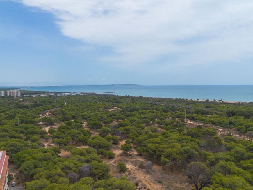 Испания Apartment in Guardamar del Segura, just 800 metres from the beach