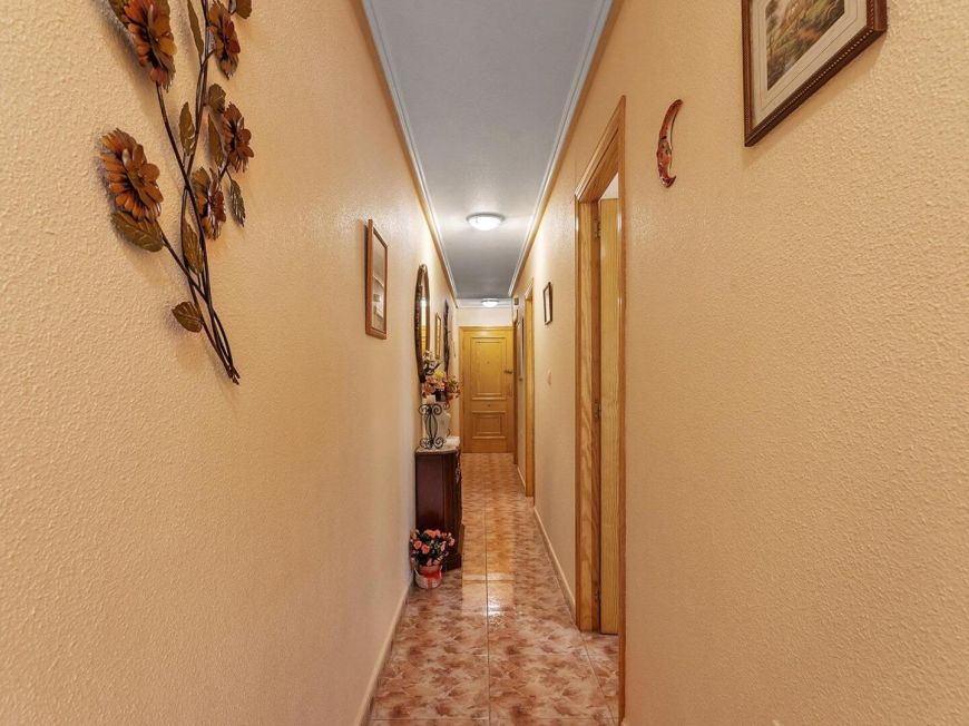 Španělsko Apartmán / byt Torrevieja ALICANTE