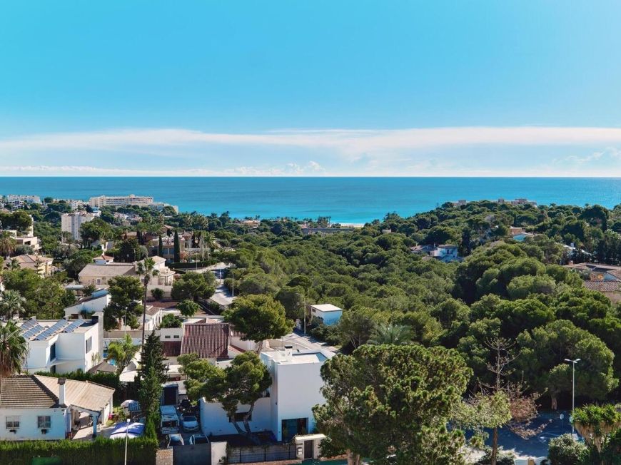 Španělsko Apartmán / byt Dehesa de campoamor ALICANTE