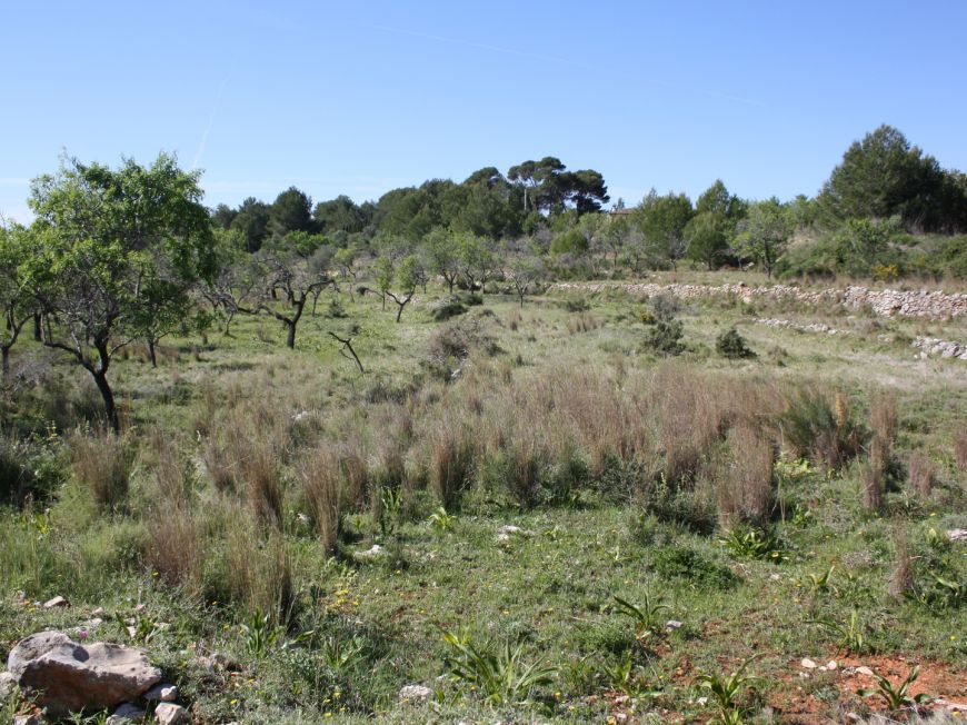 Spanien Villa Benissa Alicante