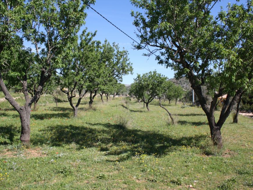 Spanien Villa Benissa Alicante