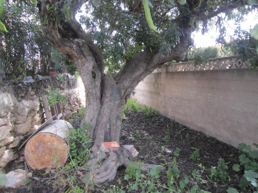 Španělsko Pozemek Calpe Alicante