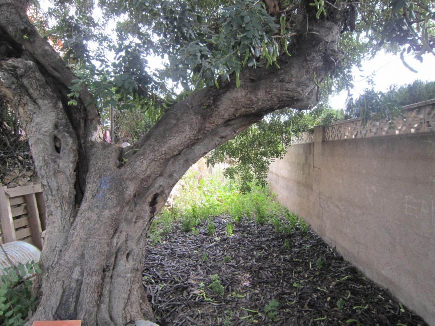 Španělsko Pozemek Calpe Alicante