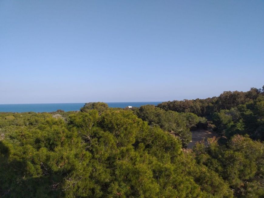 Spain Apartamento Guardamar del Segura Alicante