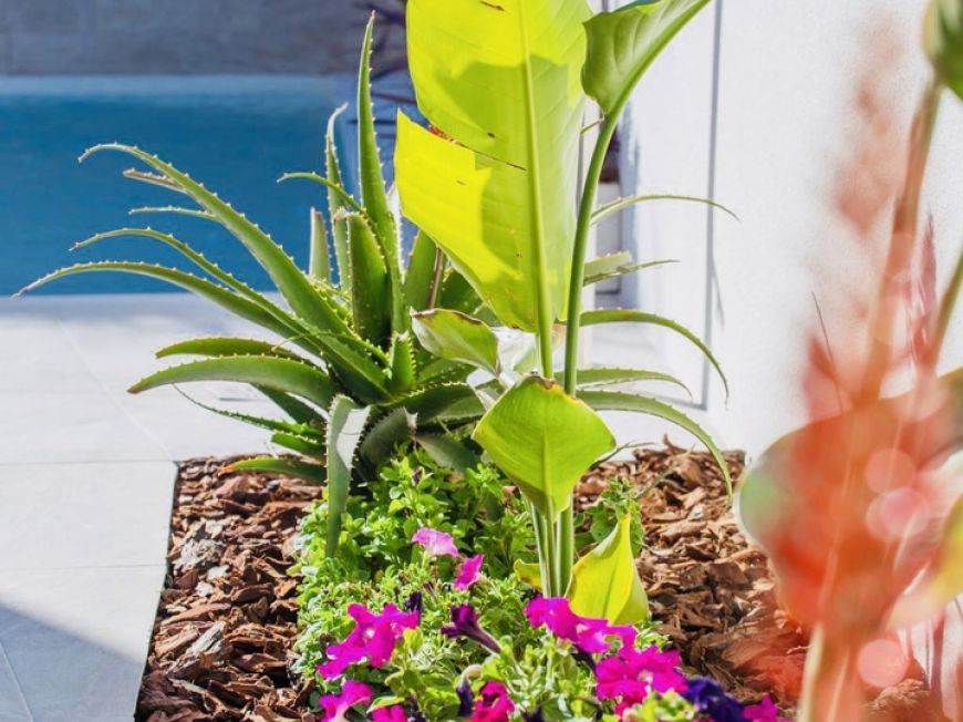 Espagne Villa Los Montesinos Alicante