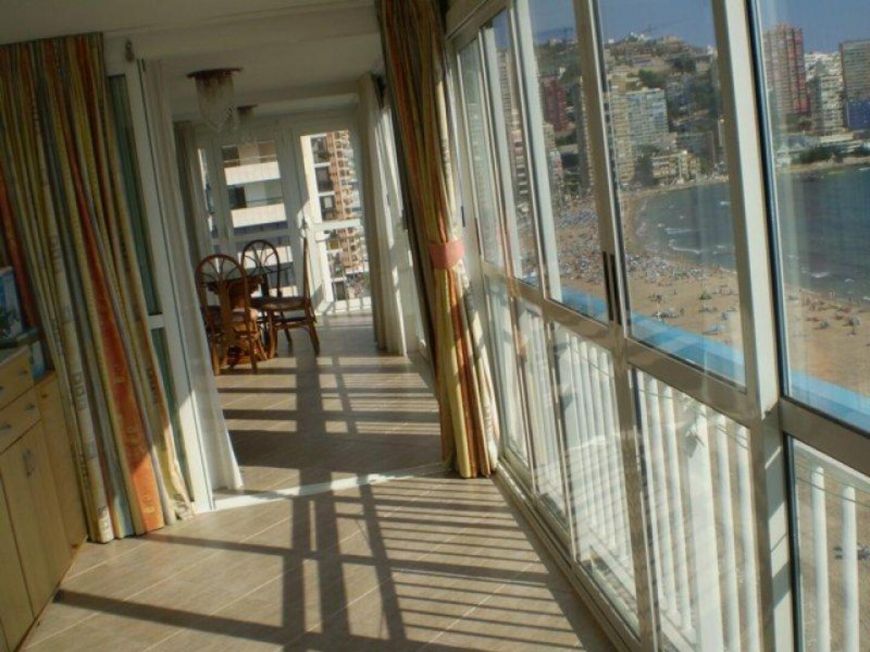Španělsko Apartmán / byt Benidorm Alicante