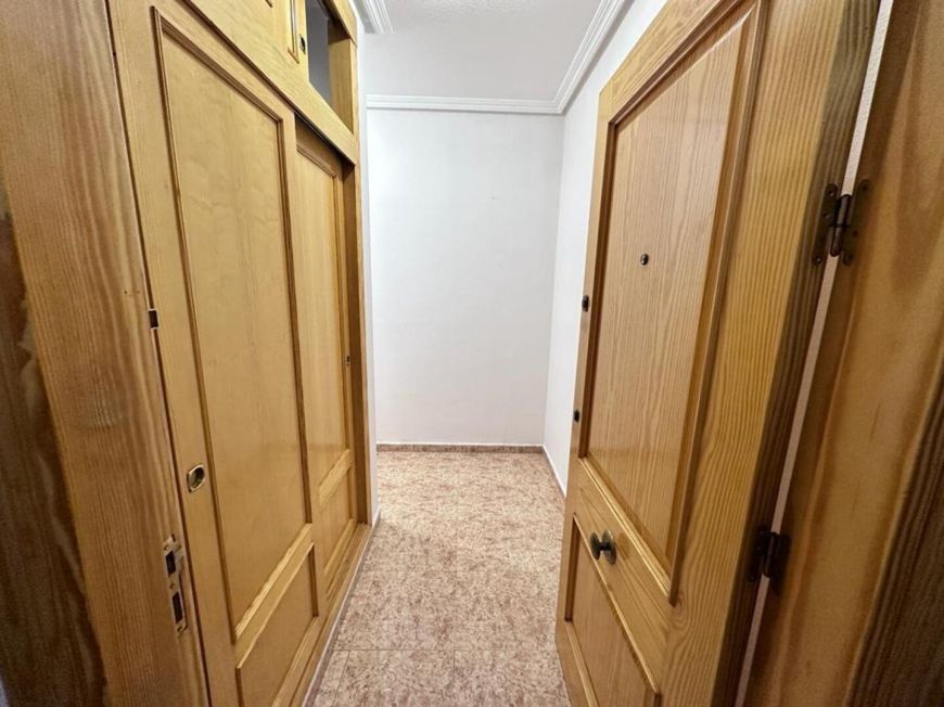 Španělsko Apartmány / byty Torrevieja