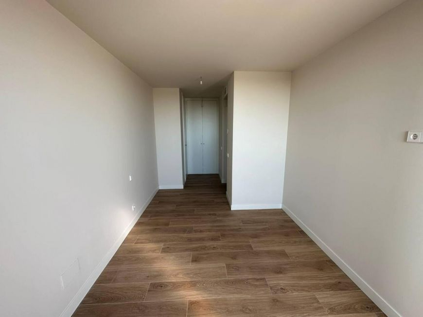 Španělsko alegria Madrid