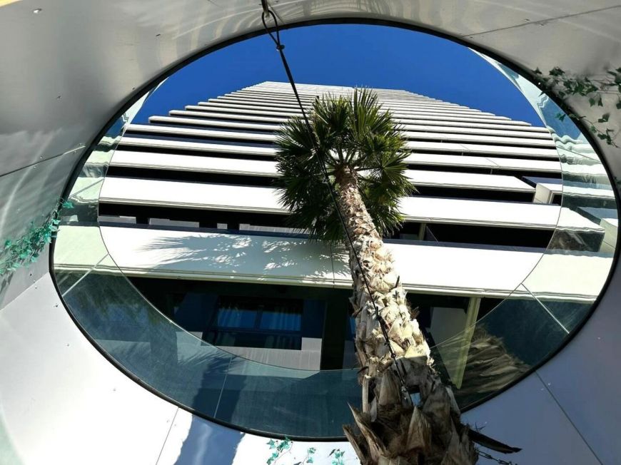 Španělsko alegria Madrid