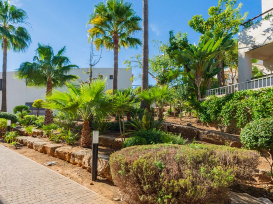 Španělsko Apartmány / byty Costa-del-sol