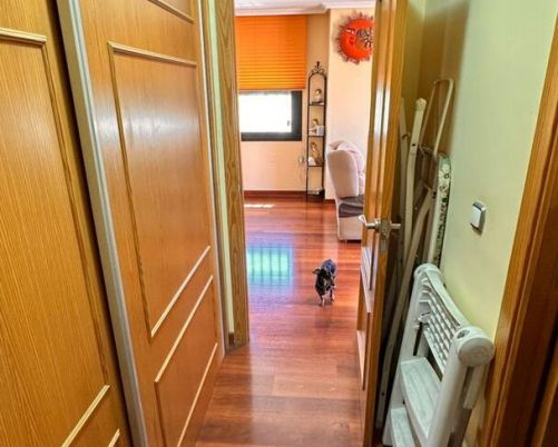 Apartmány / byty Torrevieja