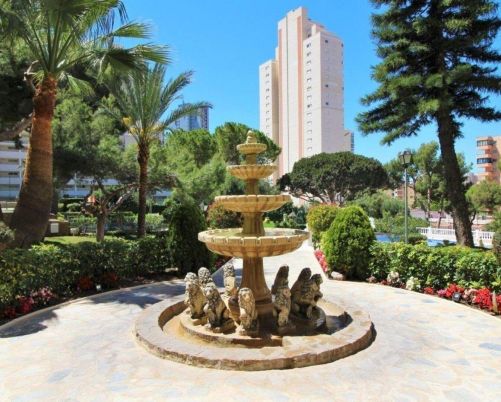 studio benidorm 