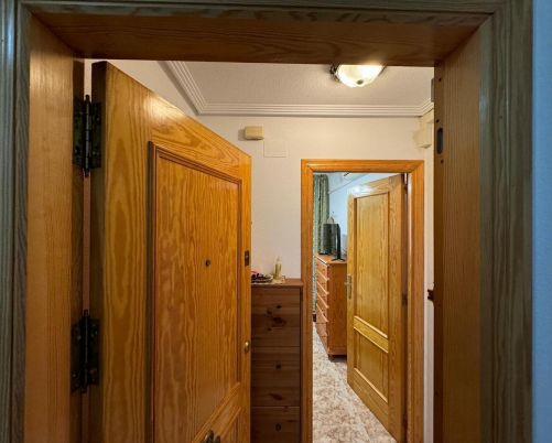 penthouse torrevieja 