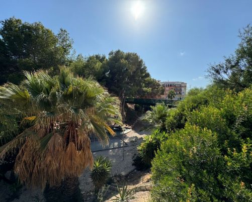 Apartmány / byty Orihuela-costa