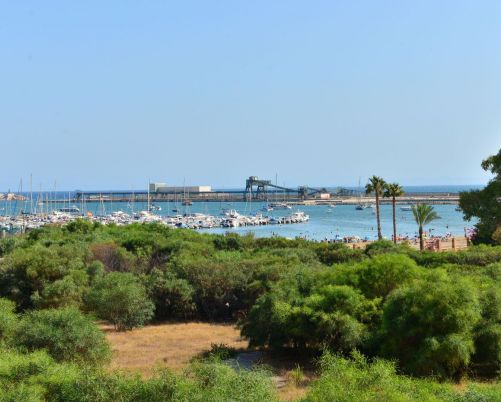 Apartamento Torrevieja Alicante